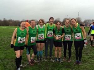 MLXC 1