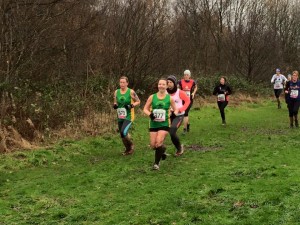 MLXC 11