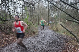 MLXC 12