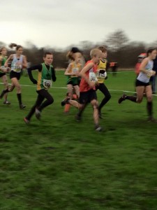 MLXC 5