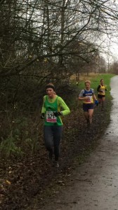 MLXC 8